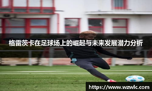 完美体育官方网站