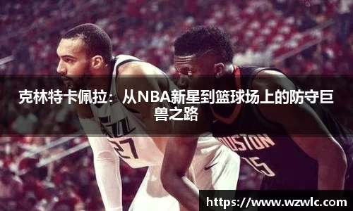 完美体育官方网站