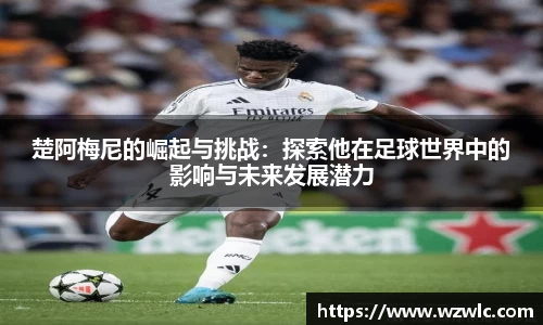 完美体育官方网站